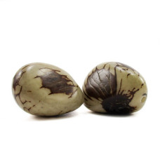 Graines d’Ivoire Végétal Tagua Naturel Artisanat 1kg