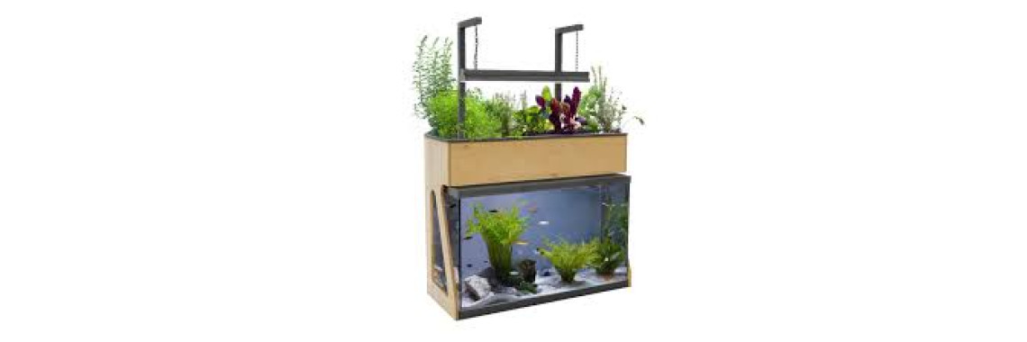 AquaSprouts Garden Kit Aquaponie Complet