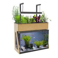 AquaSprouts Garden Kit Aquaponie Complet