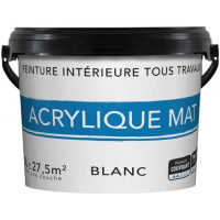 RECA Peinture Professionnelle Mur Intérieur Blanc Mat 15L